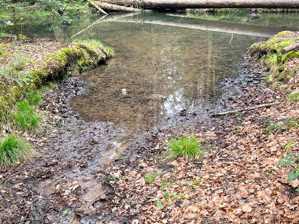 23-04-30 14-59-53 5250